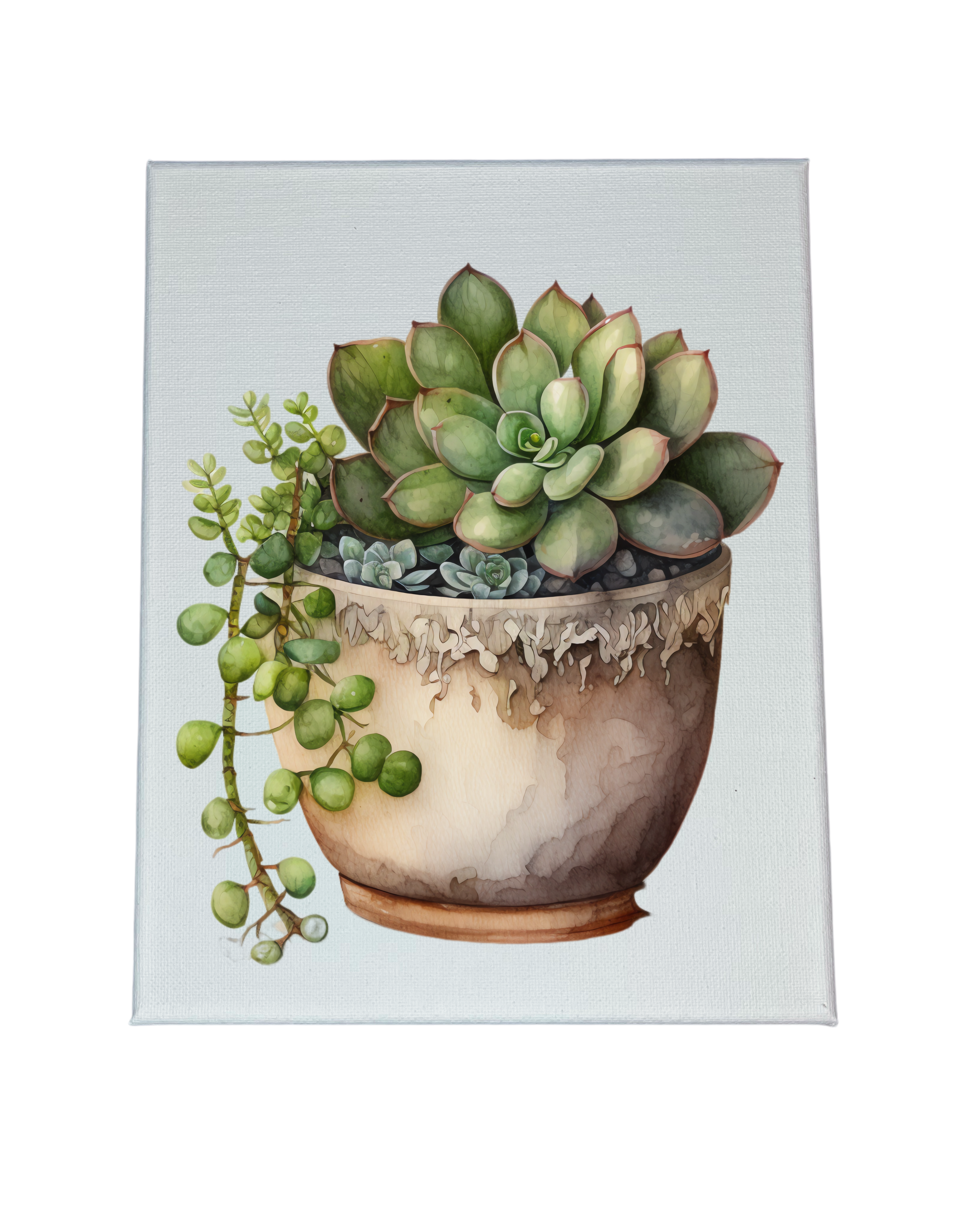 succulents on canvas SUCCULENTS CANVAS – StockUp247 LLC